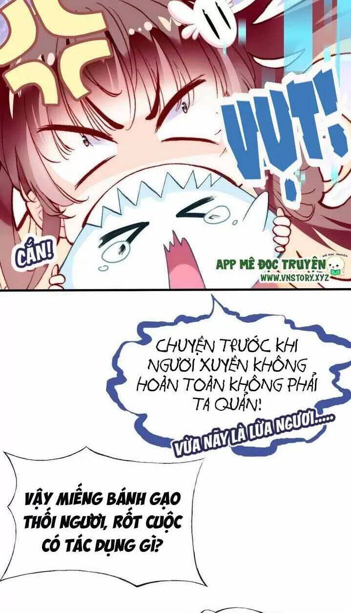 Lại Bị Bệnh Chiều Chuộng Quấn Lấy Chapter 11 - Trang 2