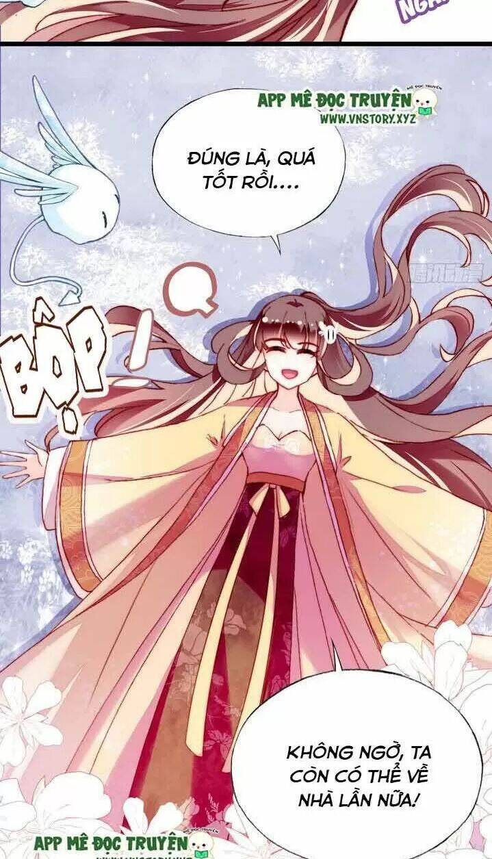 Lại Bị Bệnh Chiều Chuộng Quấn Lấy Chapter 11 - Trang 2