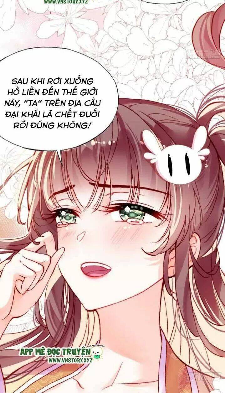 Lại Bị Bệnh Chiều Chuộng Quấn Lấy Chapter 11 - Trang 2