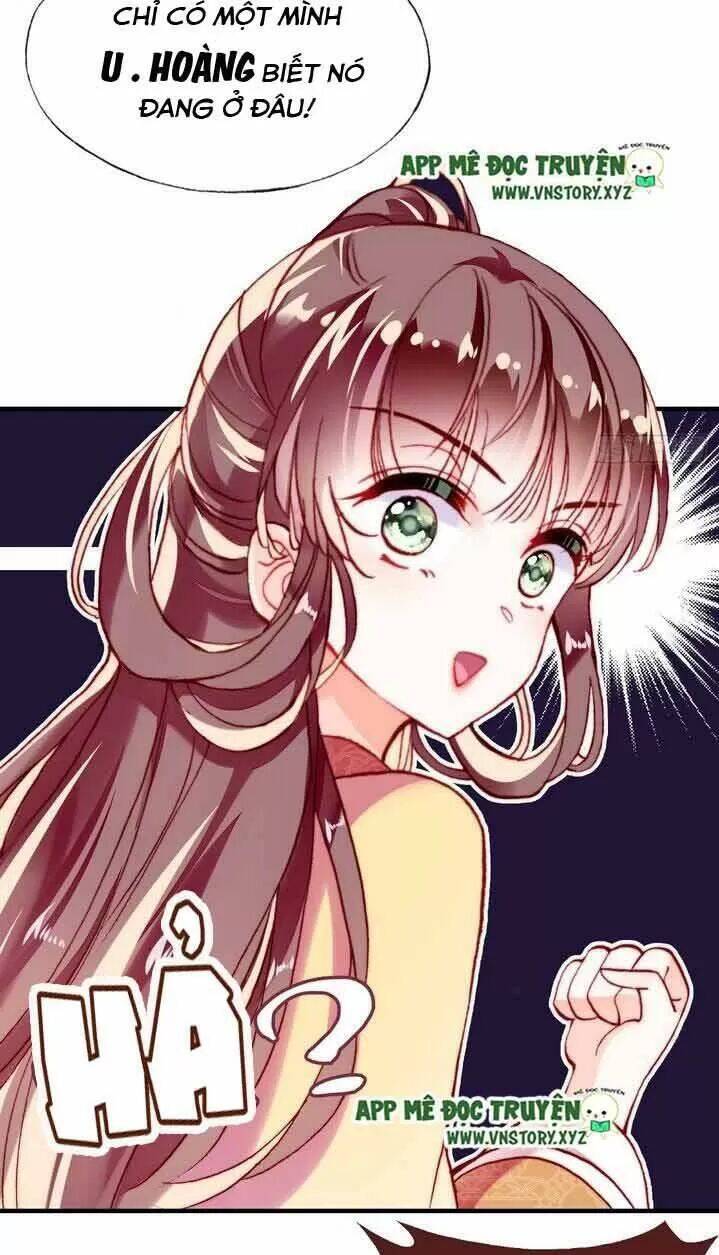 Lại Bị Bệnh Chiều Chuộng Quấn Lấy Chapter 11 - Trang 2