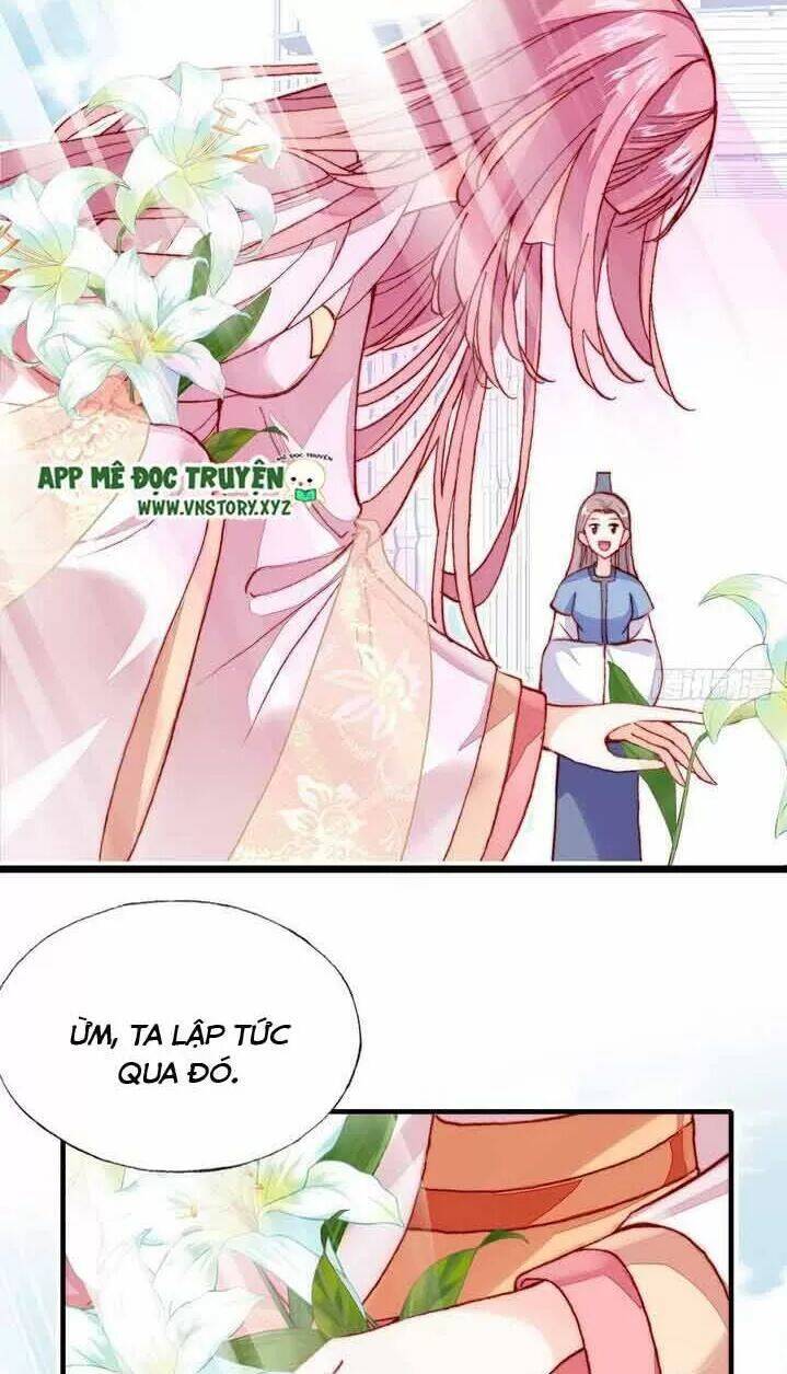 Lại Bị Bệnh Chiều Chuộng Quấn Lấy Chapter 11 - Trang 2