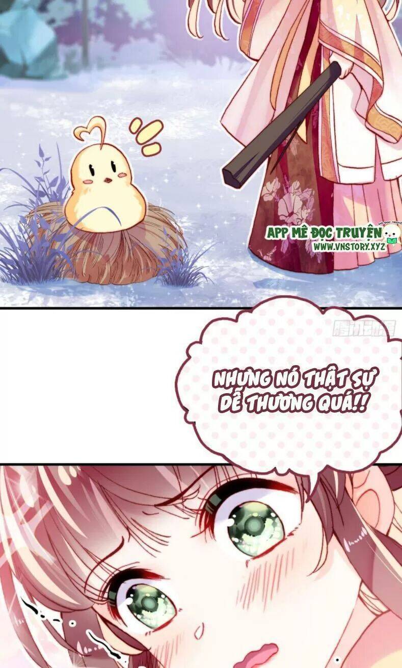 Lại Bị Bệnh Chiều Chuộng Quấn Lấy Chapter 12 - Trang 2