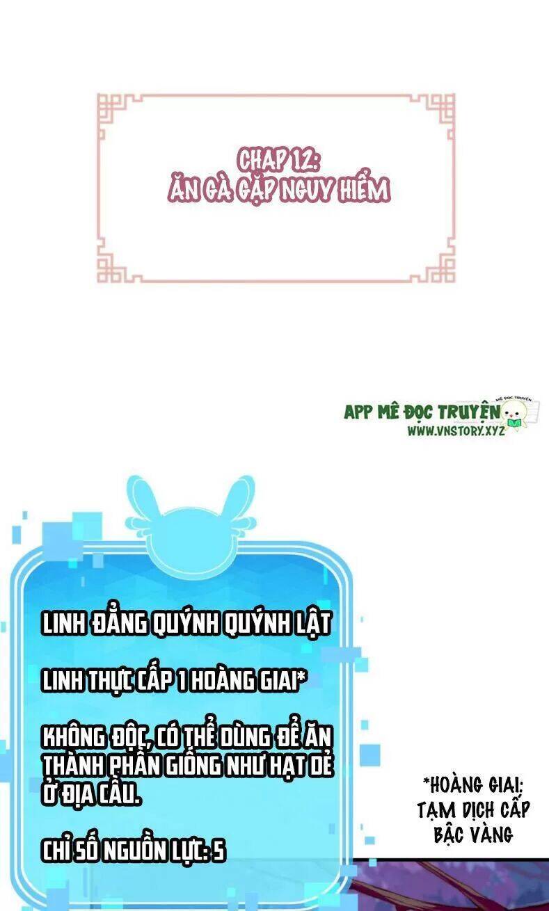 Lại Bị Bệnh Chiều Chuộng Quấn Lấy Chapter 12 - Trang 2