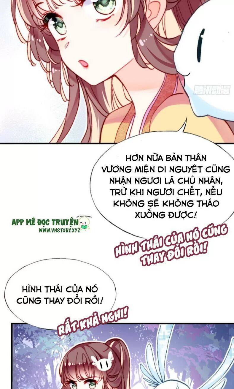 Lại Bị Bệnh Chiều Chuộng Quấn Lấy Chapter 12 - Trang 2