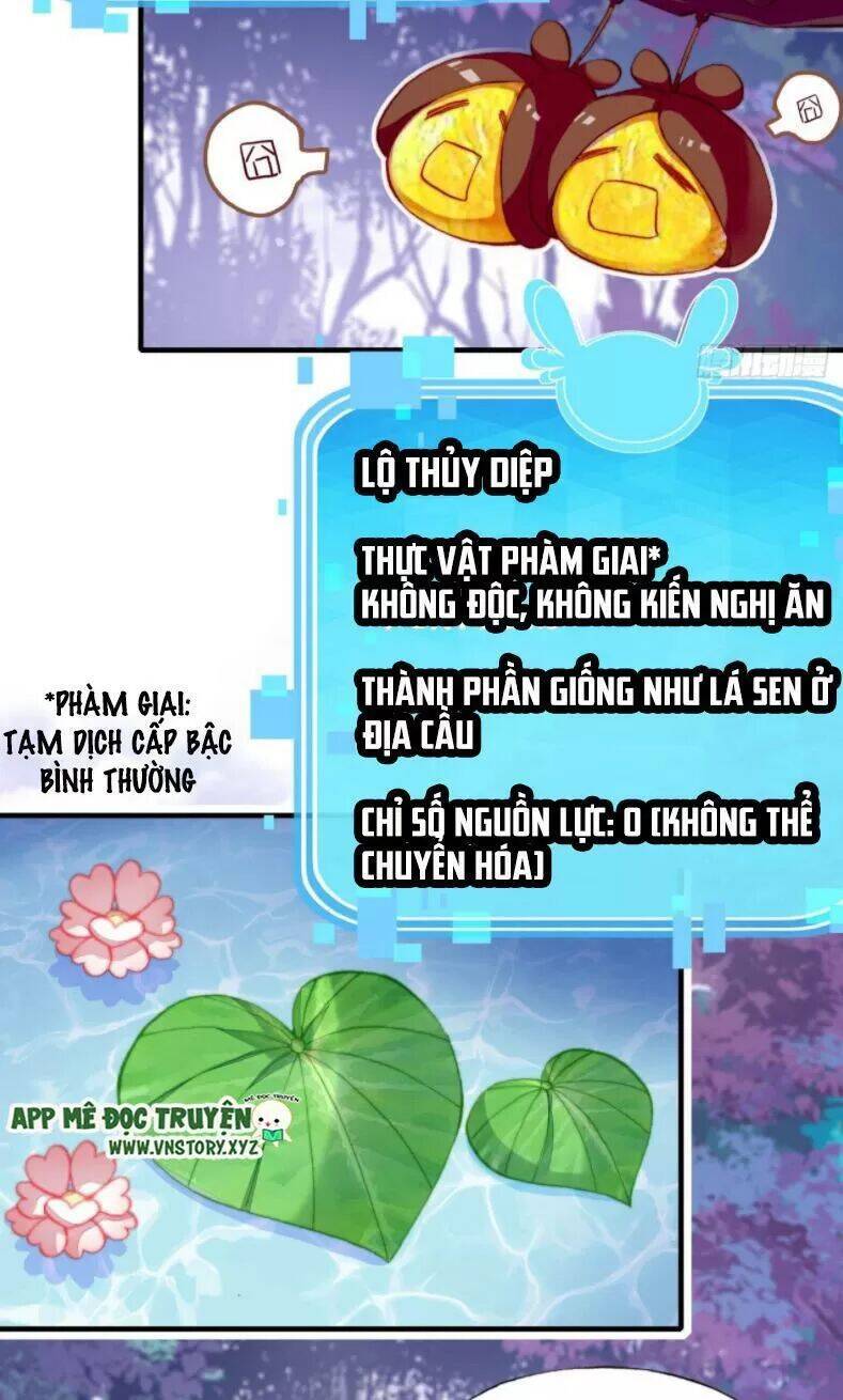 Lại Bị Bệnh Chiều Chuộng Quấn Lấy Chapter 12 - Trang 2