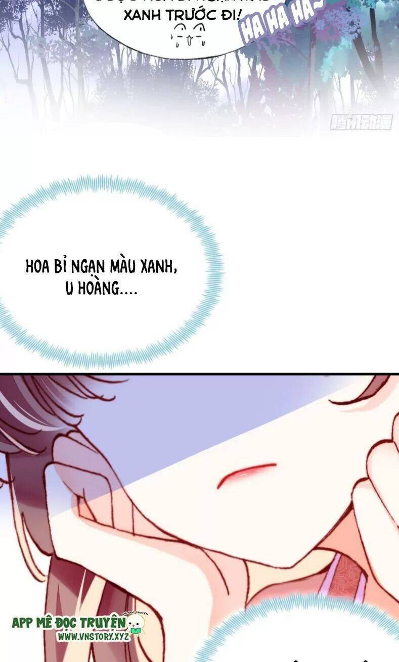 Lại Bị Bệnh Chiều Chuộng Quấn Lấy Chapter 12 - Trang 2