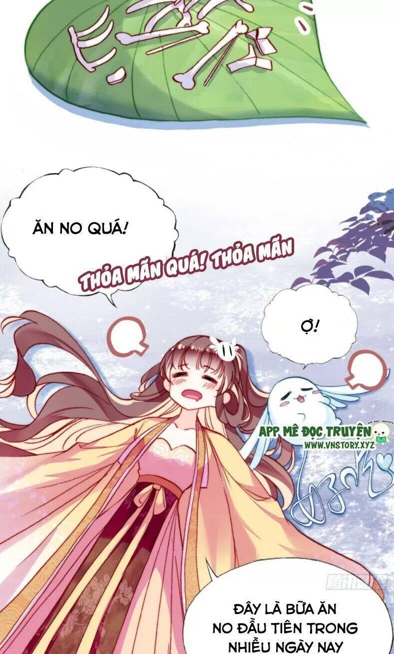 Lại Bị Bệnh Chiều Chuộng Quấn Lấy Chapter 12 - Trang 2