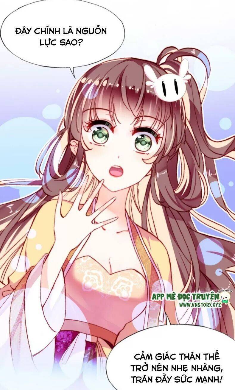 Lại Bị Bệnh Chiều Chuộng Quấn Lấy Chapter 12 - Trang 2