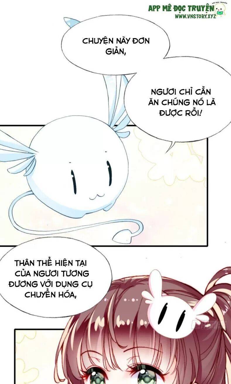 Lại Bị Bệnh Chiều Chuộng Quấn Lấy Chapter 12 - Trang 2