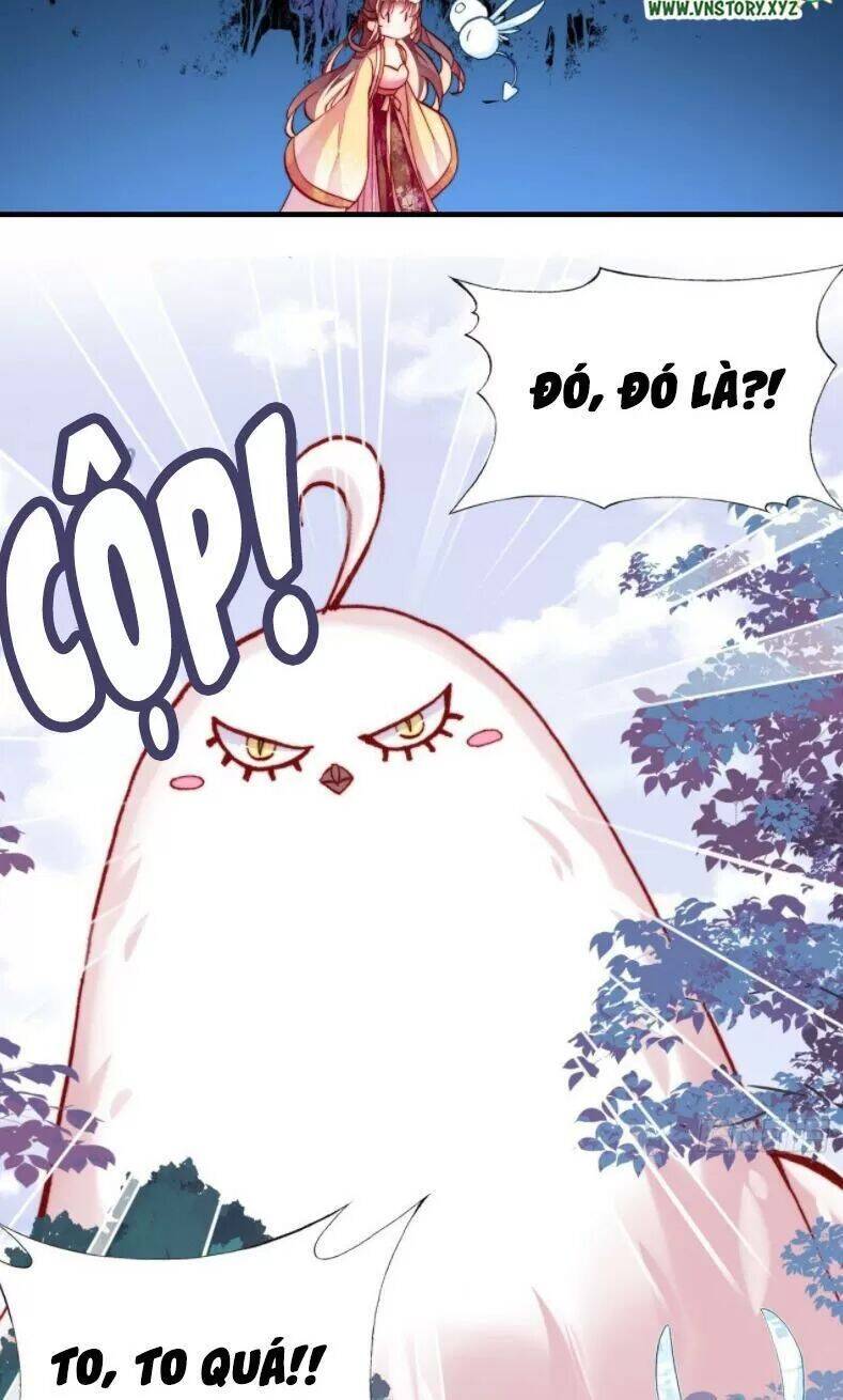 Lại Bị Bệnh Chiều Chuộng Quấn Lấy Chapter 12 - Trang 2