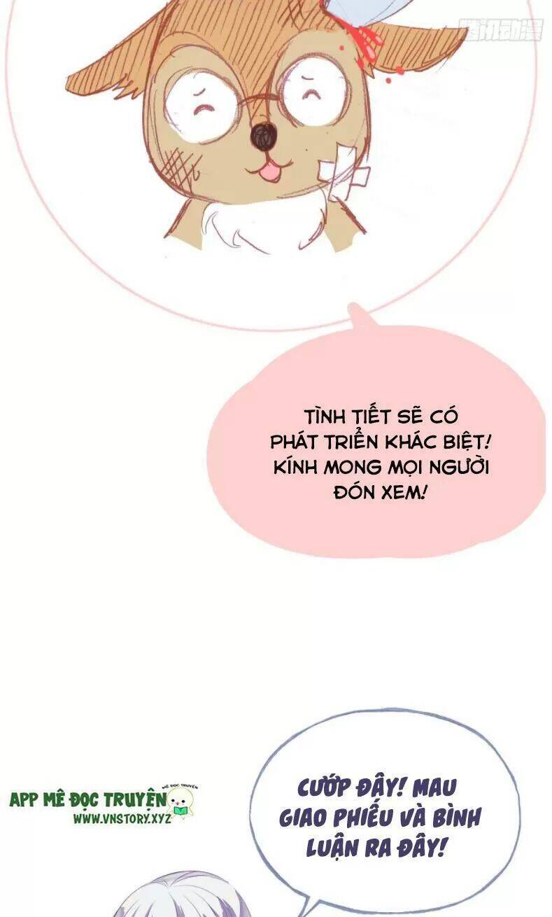 Lại Bị Bệnh Chiều Chuộng Quấn Lấy Chapter 12 - Trang 2