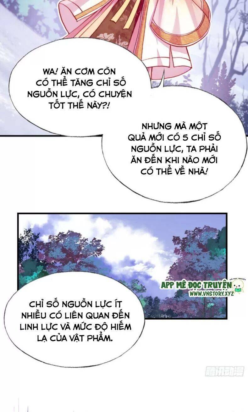 Lại Bị Bệnh Chiều Chuộng Quấn Lấy Chapter 12 - Trang 2