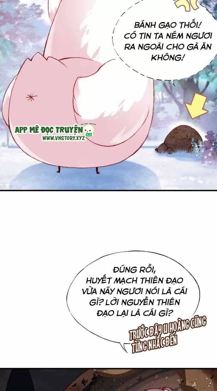 Lại Bị Bệnh Chiều Chuộng Quấn Lấy Chapter 13 - Trang 2