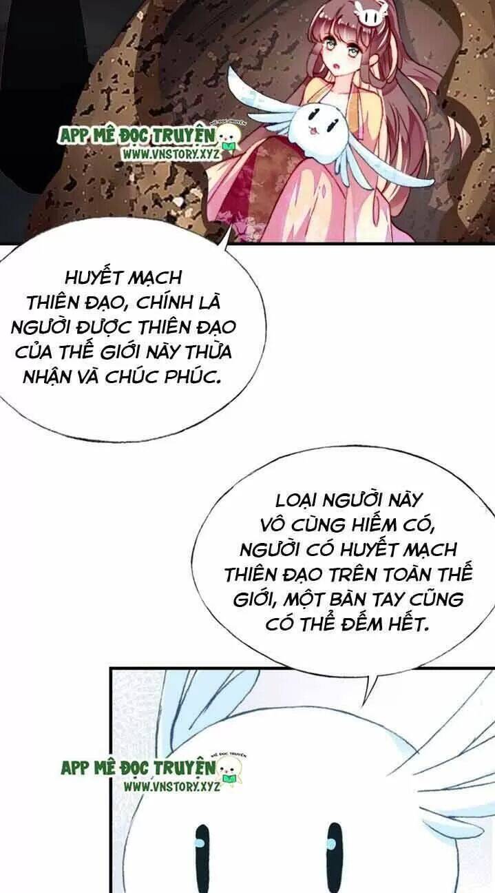 Lại Bị Bệnh Chiều Chuộng Quấn Lấy Chapter 13 - Trang 2