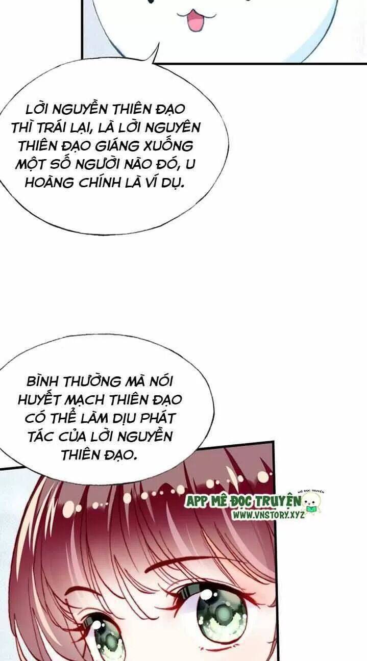 Lại Bị Bệnh Chiều Chuộng Quấn Lấy Chapter 13 - Trang 2