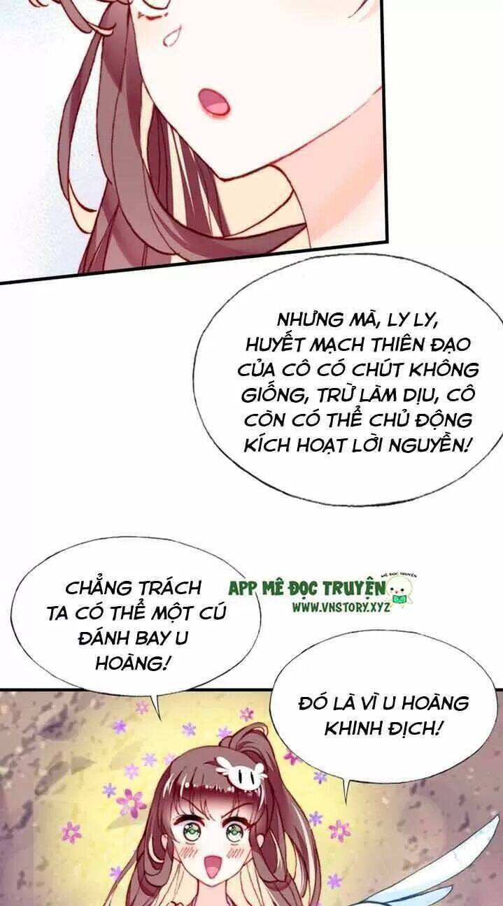 Lại Bị Bệnh Chiều Chuộng Quấn Lấy Chapter 13 - Trang 2