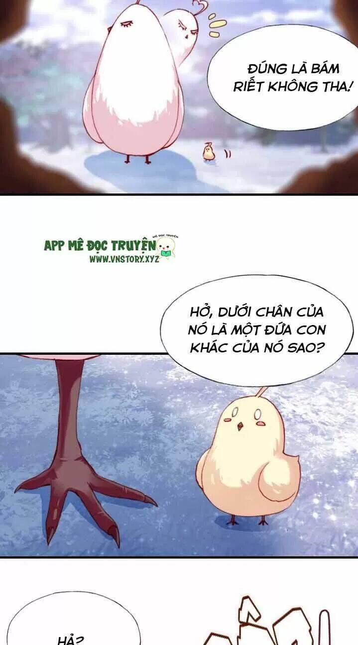 Lại Bị Bệnh Chiều Chuộng Quấn Lấy Chapter 13 - Trang 2