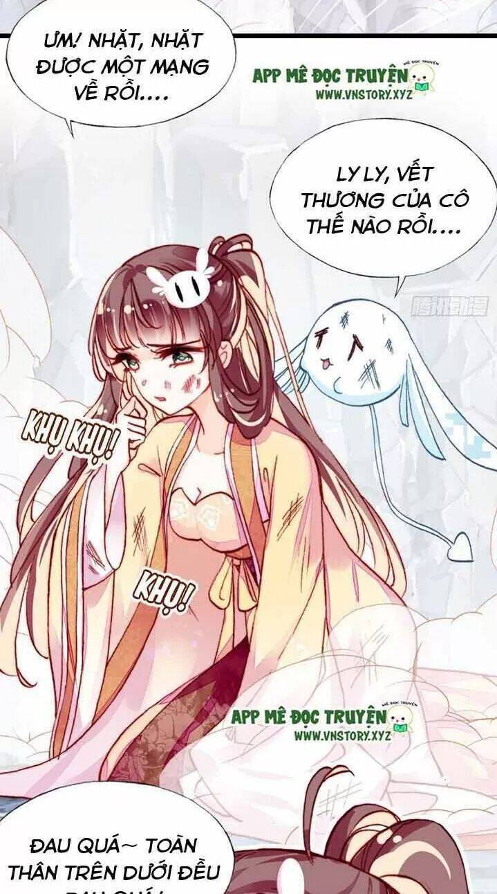 Lại Bị Bệnh Chiều Chuộng Quấn Lấy Chapter 13 - Trang 2