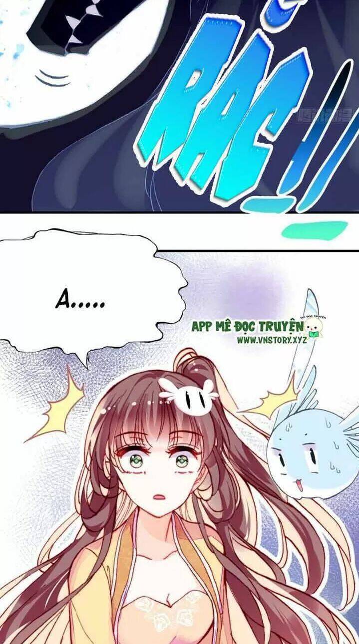 Lại Bị Bệnh Chiều Chuộng Quấn Lấy Chapter 13 - Trang 2