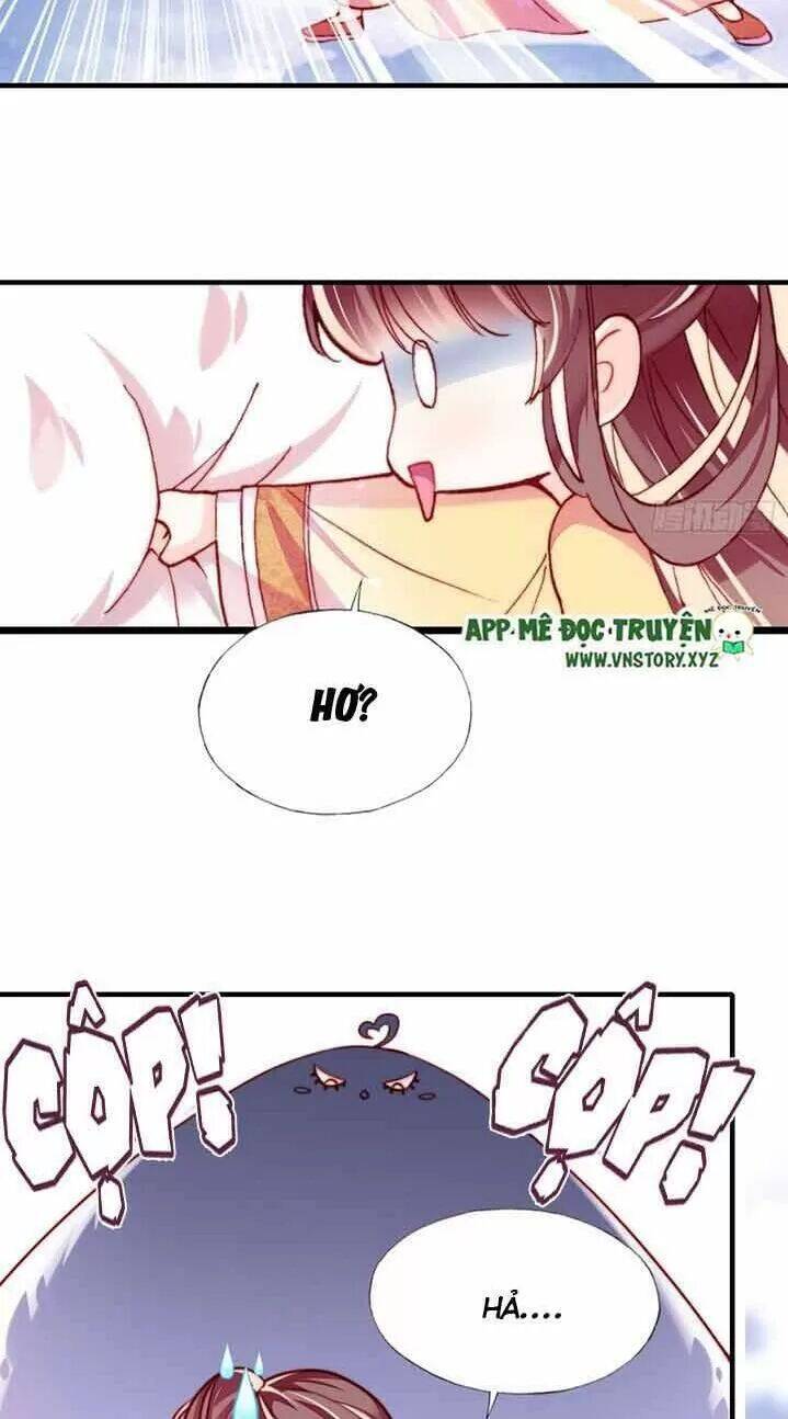 Lại Bị Bệnh Chiều Chuộng Quấn Lấy Chapter 13 - Trang 2