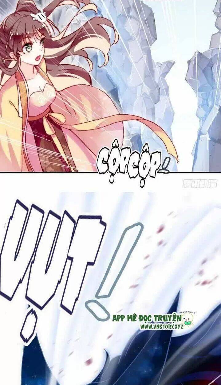 Lại Bị Bệnh Chiều Chuộng Quấn Lấy Chapter 14 - Trang 2