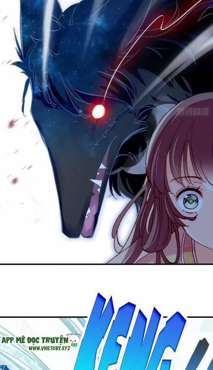 Lại Bị Bệnh Chiều Chuộng Quấn Lấy Chapter 14 - Trang 2