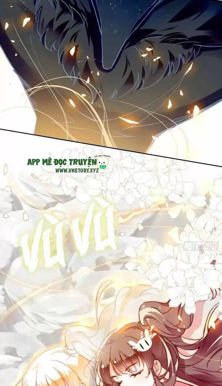 Lại Bị Bệnh Chiều Chuộng Quấn Lấy Chapter 14 - Trang 2