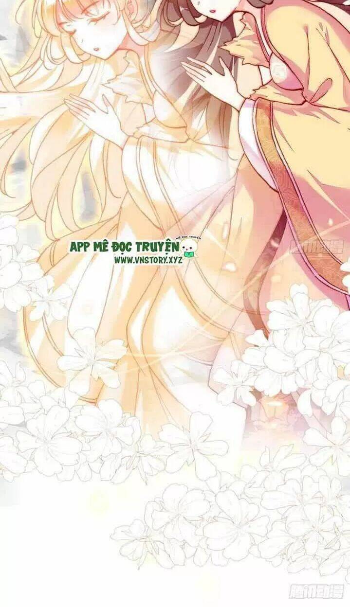 Lại Bị Bệnh Chiều Chuộng Quấn Lấy Chapter 14 - Trang 2