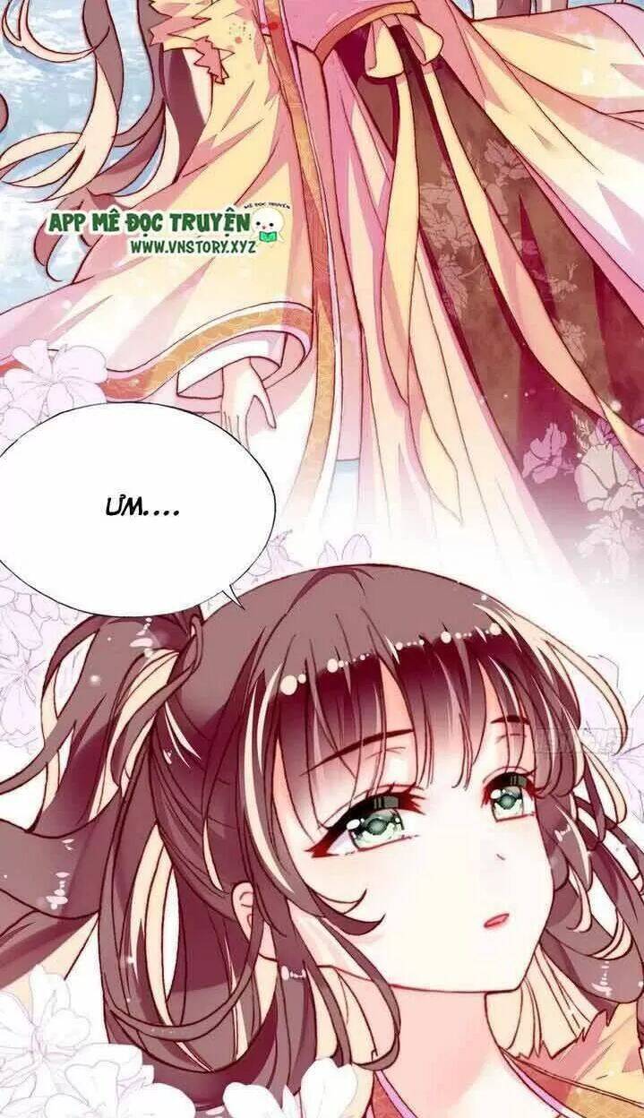 Lại Bị Bệnh Chiều Chuộng Quấn Lấy Chapter 14 - Trang 2