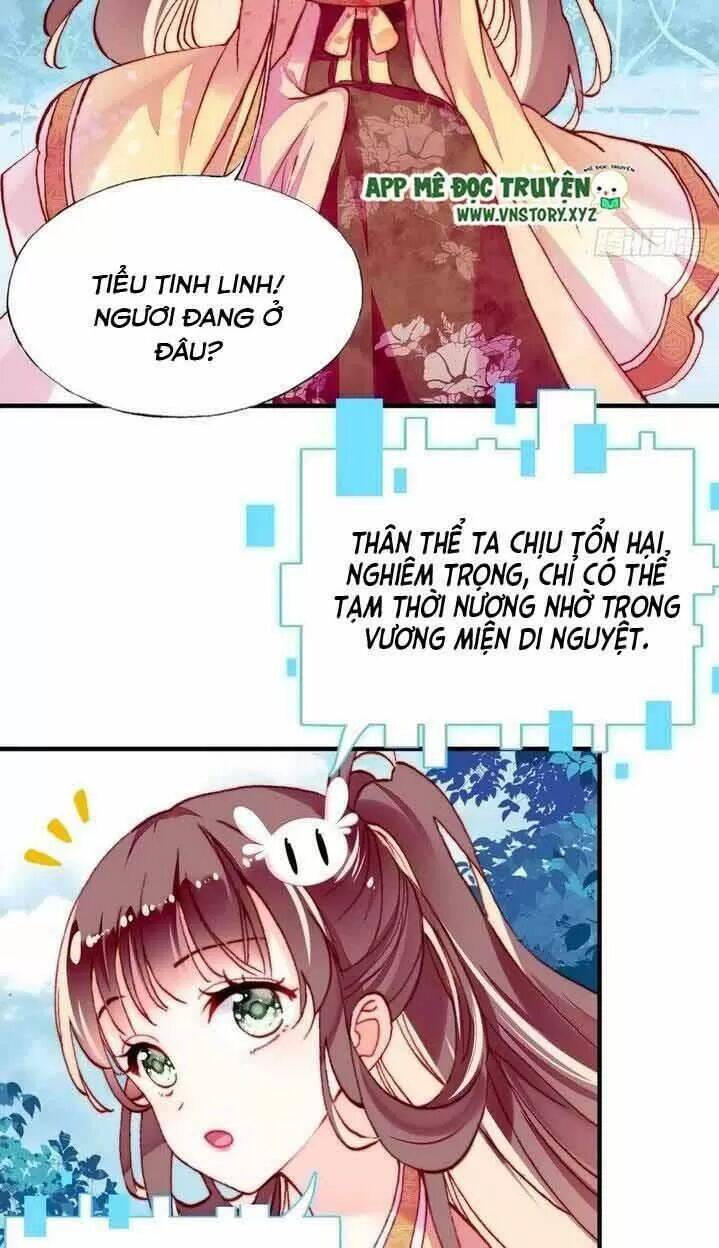 Lại Bị Bệnh Chiều Chuộng Quấn Lấy Chapter 14 - Trang 2