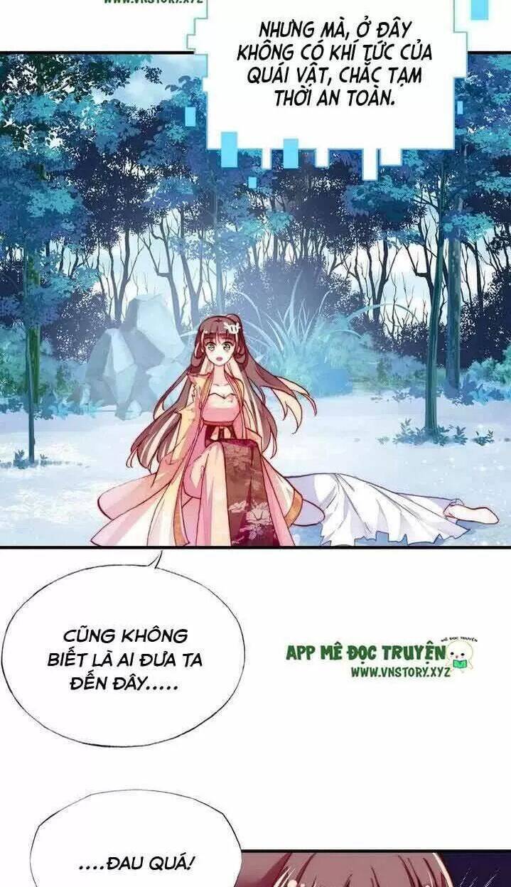 Lại Bị Bệnh Chiều Chuộng Quấn Lấy Chapter 14 - Trang 2