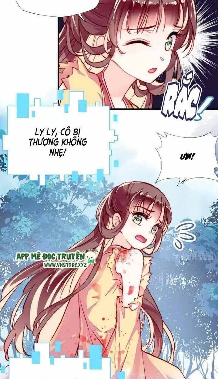 Lại Bị Bệnh Chiều Chuộng Quấn Lấy Chapter 14 - Trang 2