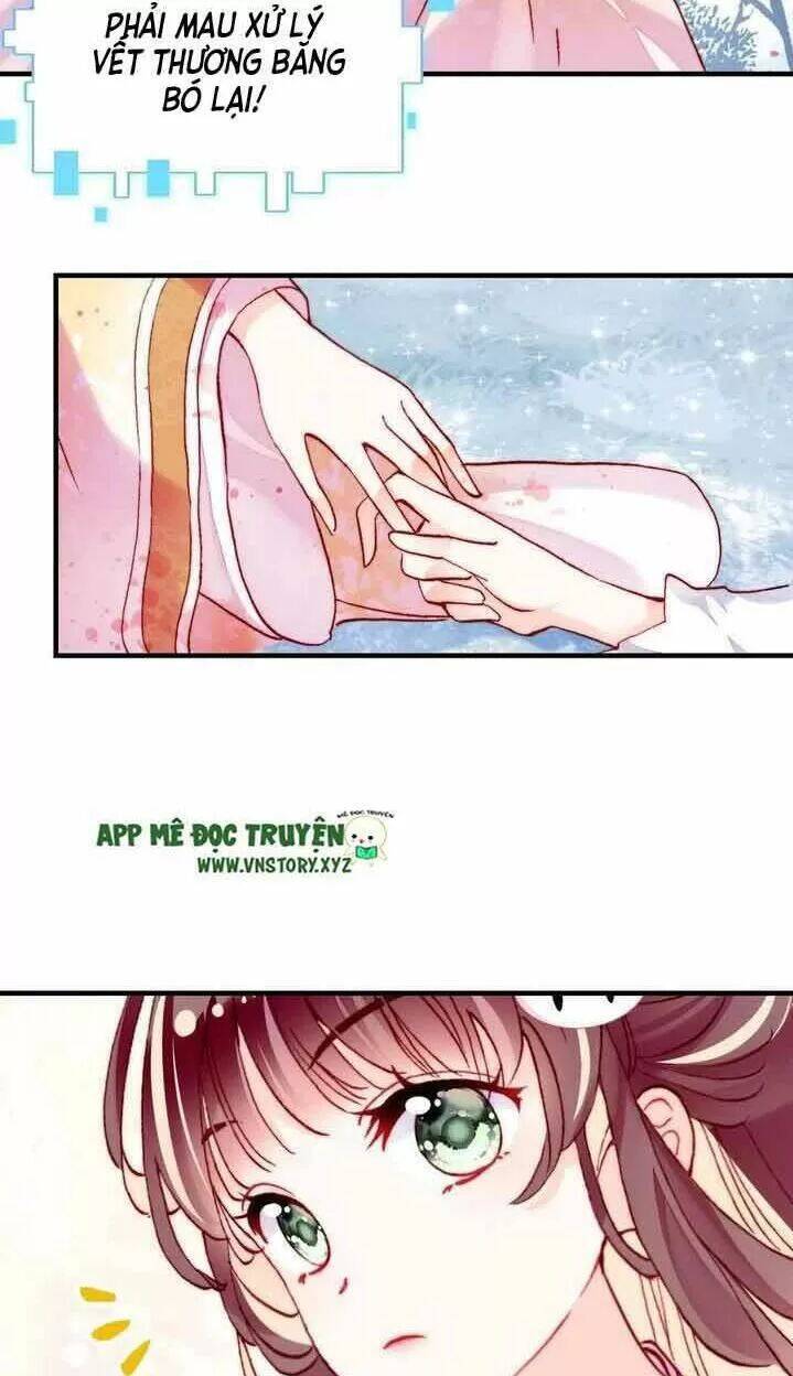 Lại Bị Bệnh Chiều Chuộng Quấn Lấy Chapter 14 - Trang 2