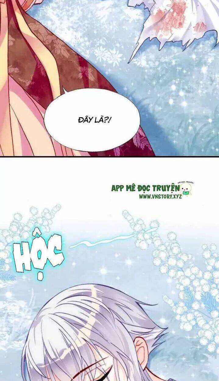 Lại Bị Bệnh Chiều Chuộng Quấn Lấy Chapter 14 - Trang 2