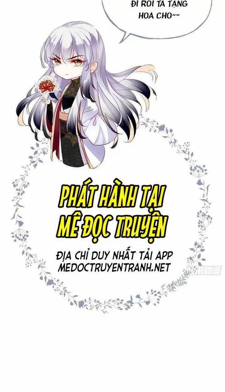 Lại Bị Bệnh Chiều Chuộng Quấn Lấy Chapter 14 - Trang 2