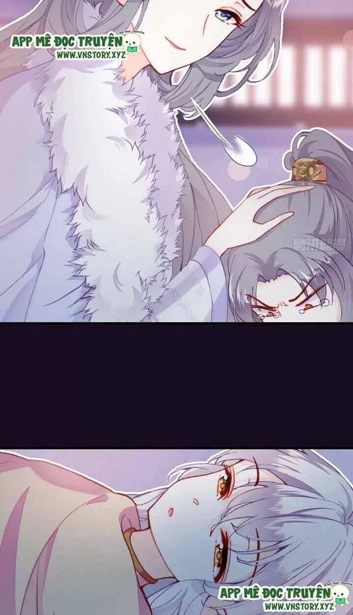 Lại Bị Bệnh Chiều Chuộng Quấn Lấy Chapter 15 - Trang 2