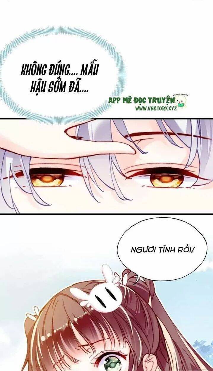 Lại Bị Bệnh Chiều Chuộng Quấn Lấy Chapter 15 - Trang 2