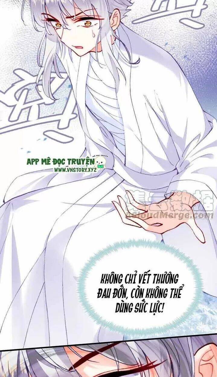 Lại Bị Bệnh Chiều Chuộng Quấn Lấy Chapter 15 - Trang 2