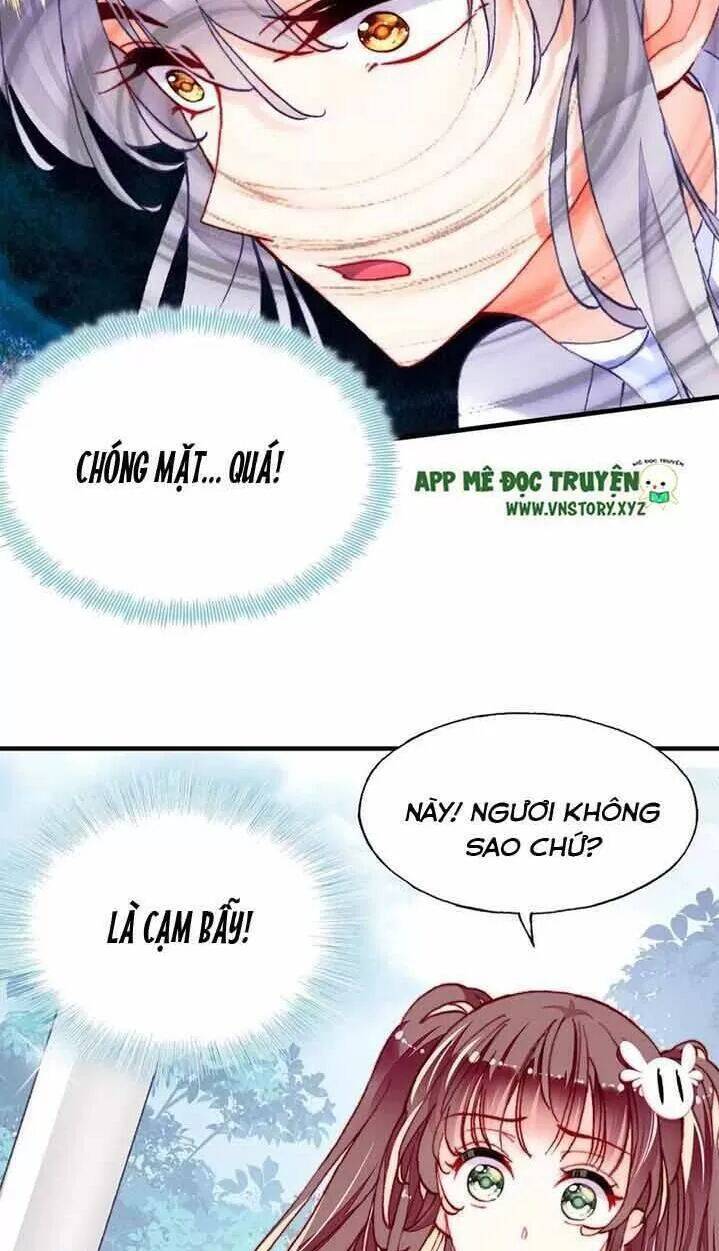 Lại Bị Bệnh Chiều Chuộng Quấn Lấy Chapter 15 - Trang 2