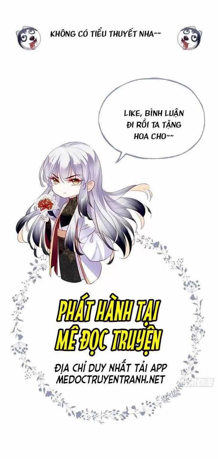 Lại Bị Bệnh Chiều Chuộng Quấn Lấy Chapter 15 - Trang 2