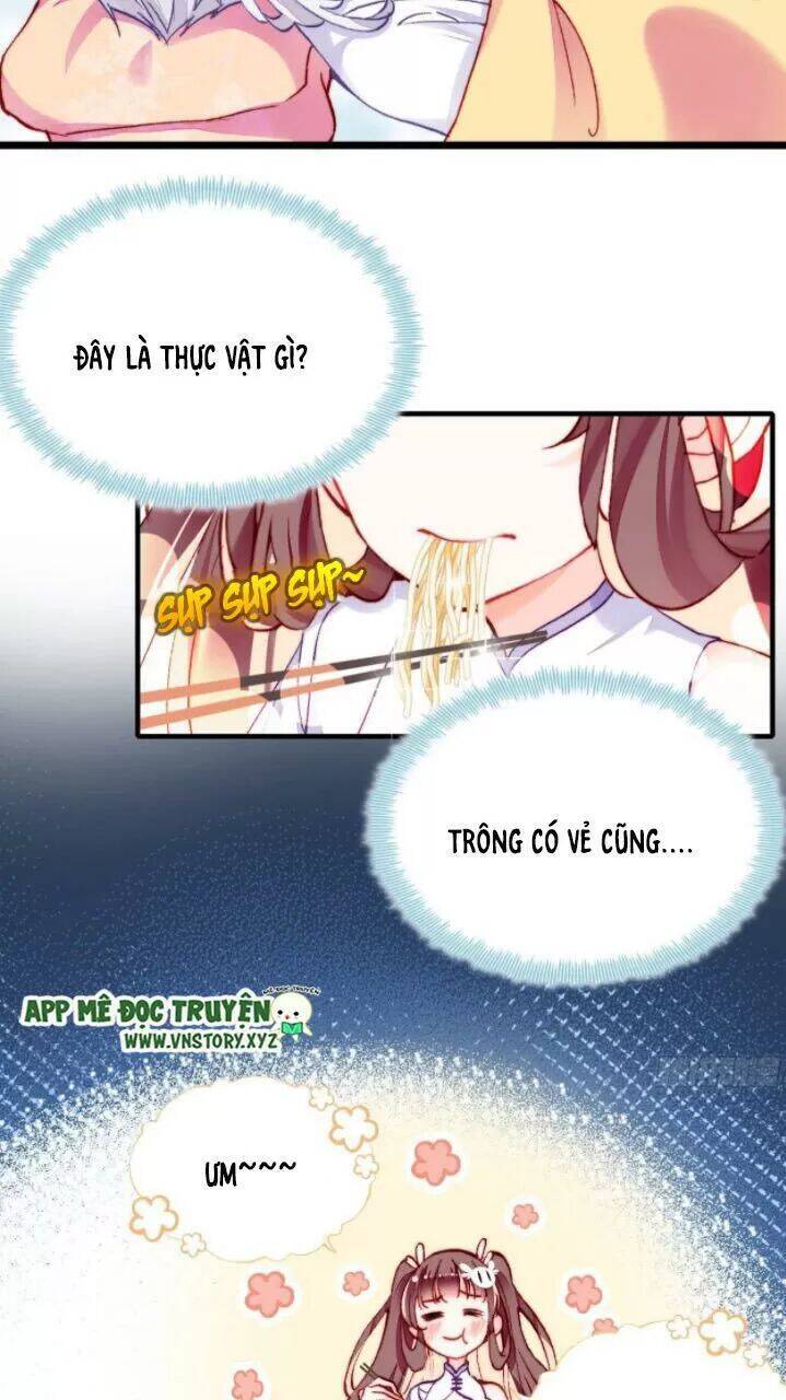 Lại Bị Bệnh Chiều Chuộng Quấn Lấy Chapter 17 - Trang 2