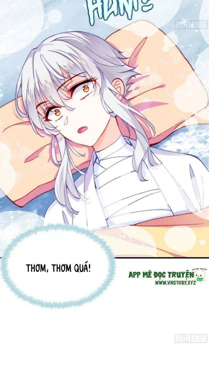 Lại Bị Bệnh Chiều Chuộng Quấn Lấy Chapter 17 - Trang 2