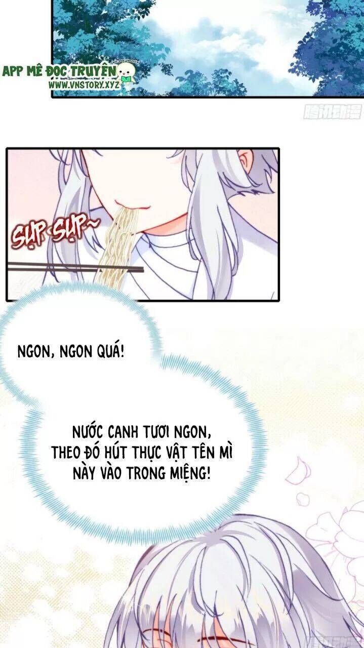 Lại Bị Bệnh Chiều Chuộng Quấn Lấy Chapter 17 - Trang 2