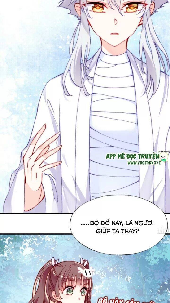 Lại Bị Bệnh Chiều Chuộng Quấn Lấy Chapter 17 - Trang 2