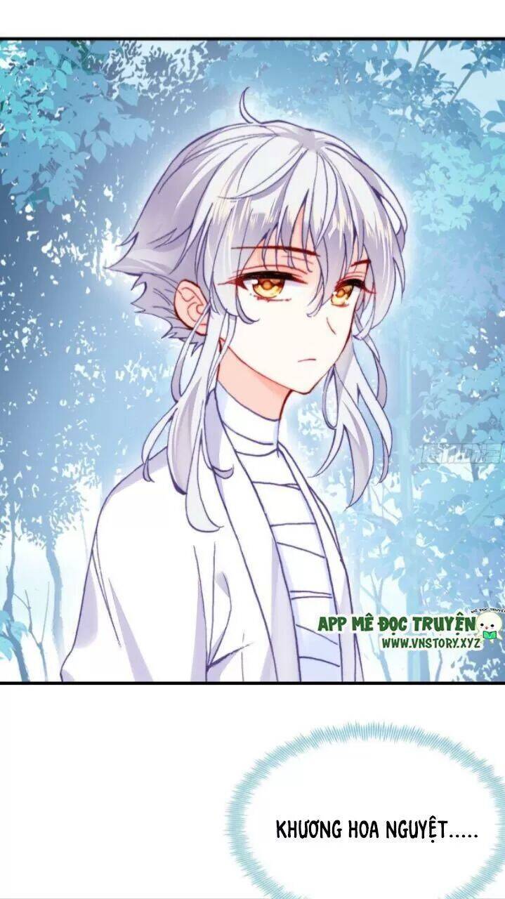 Lại Bị Bệnh Chiều Chuộng Quấn Lấy Chapter 17 - Trang 2