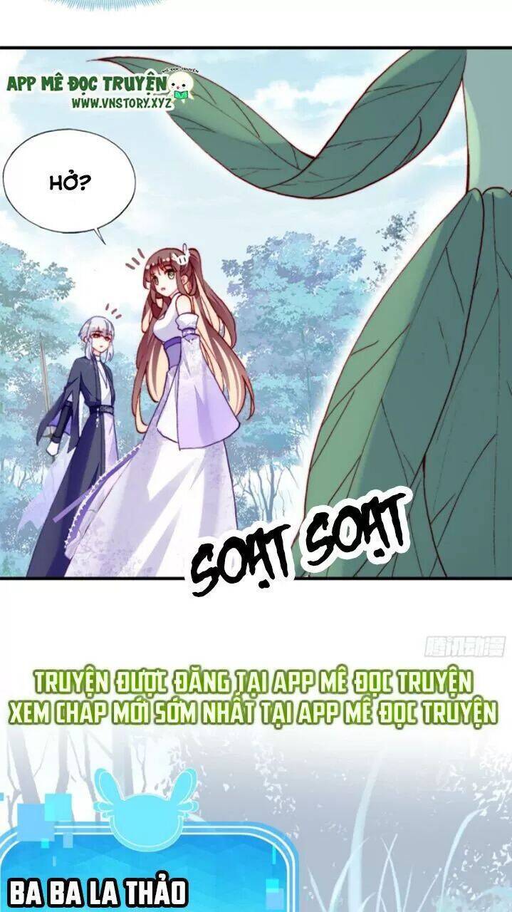Lại Bị Bệnh Chiều Chuộng Quấn Lấy Chapter 18 - Trang 2