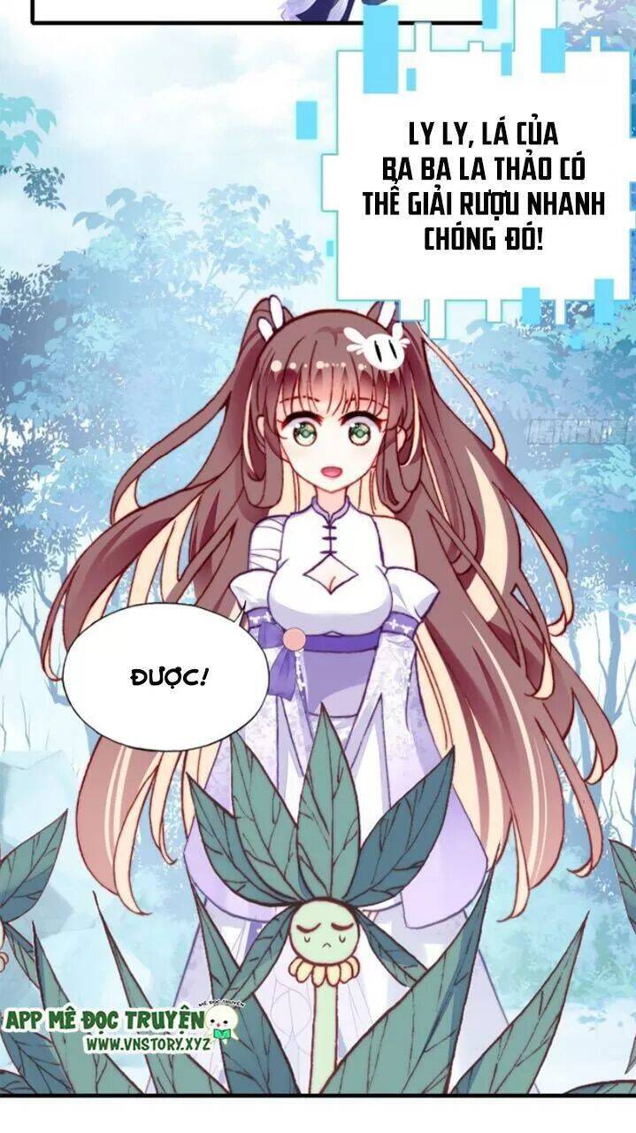 Lại Bị Bệnh Chiều Chuộng Quấn Lấy Chapter 19 - Trang 2