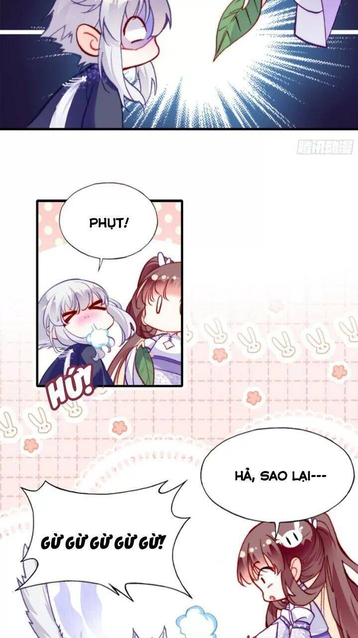 Lại Bị Bệnh Chiều Chuộng Quấn Lấy Chapter 19 - Trang 2