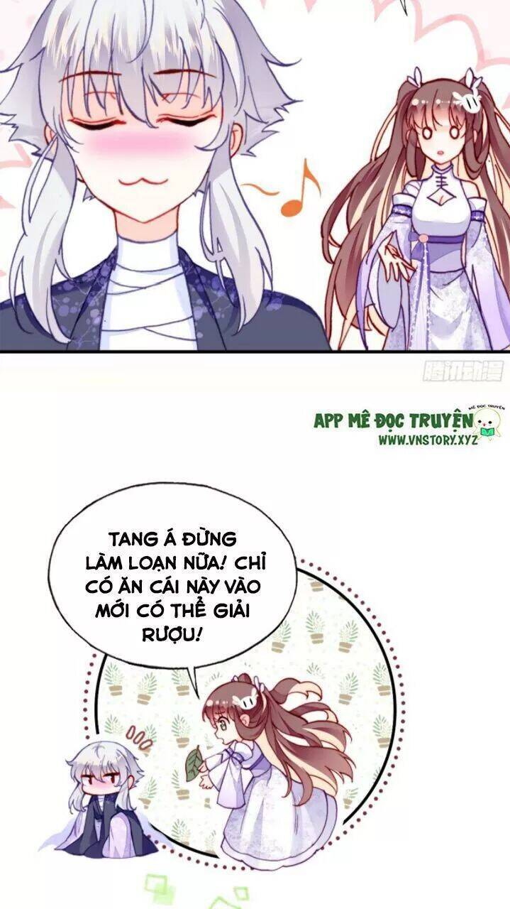 Lại Bị Bệnh Chiều Chuộng Quấn Lấy Chapter 19 - Trang 2