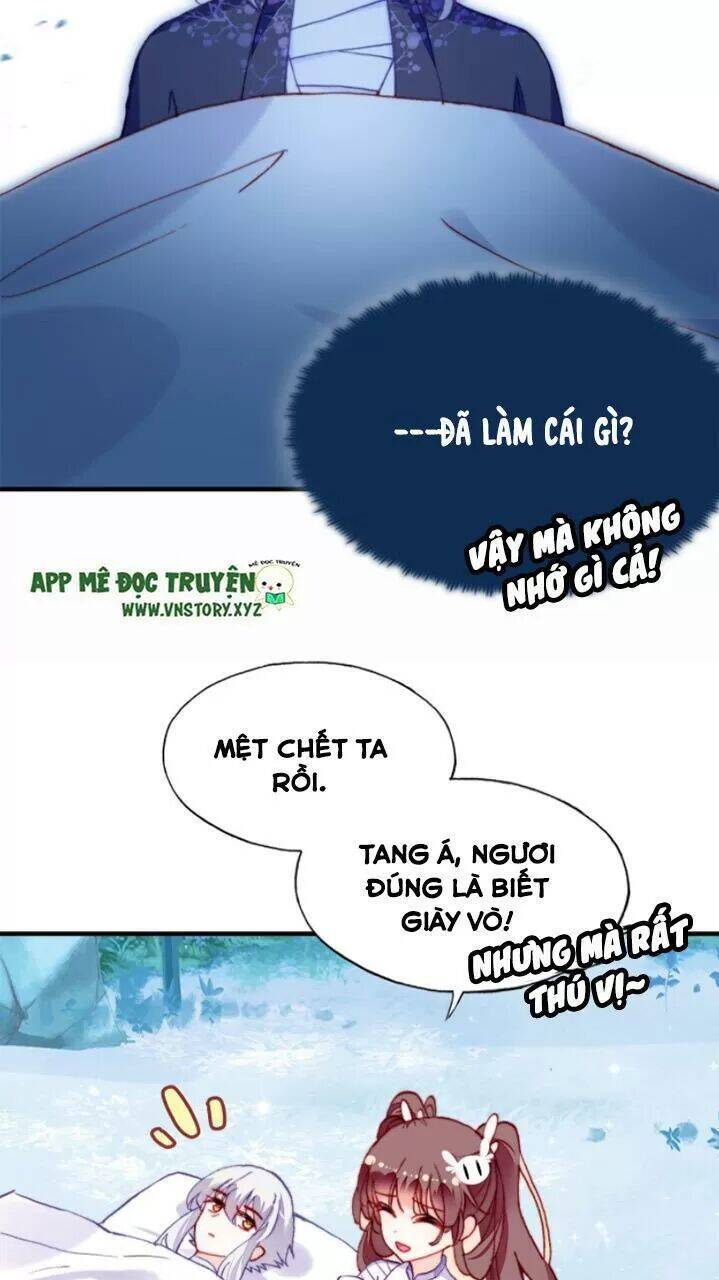 Lại Bị Bệnh Chiều Chuộng Quấn Lấy Chapter 19 - Trang 2